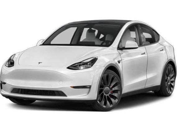 TESLA MODEL Y 2023 7SAYGDEE0PA024255 image